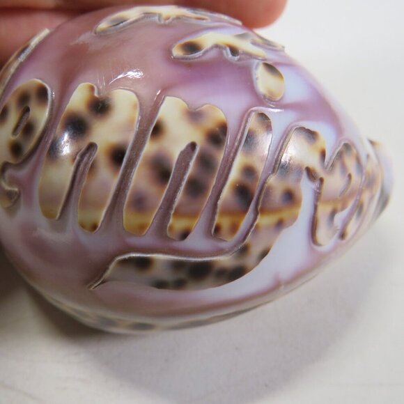 REAL Sea Shell Hand-Carved “Jennifer” Cowrie Shell Hawaiian - Picture 6 of 10